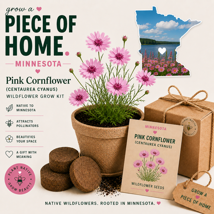 Minnesota Pink Cornflower Grow Kit