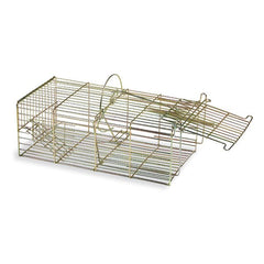 Collection image for: Pest Control