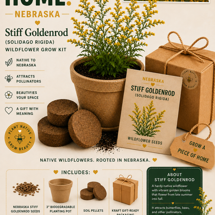 Nebraska Stiff Goldenrod Grow Kit