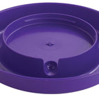 Base Only / Purple