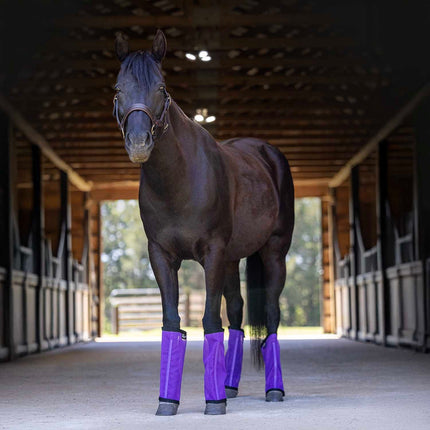 Jeffers Romper Stomper "Stomp-Free" Fly Boots for Horses, 4 pack