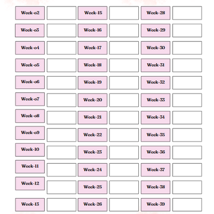 Pregnancy Journal – 58-Page Editable Canva Template
