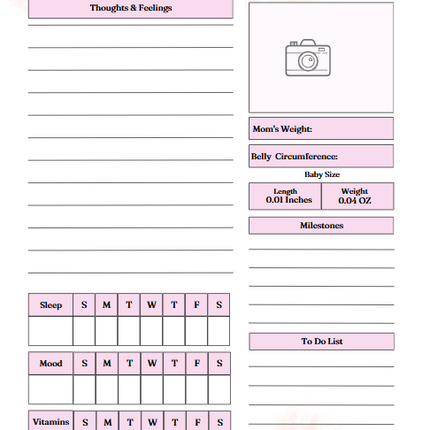 Pregnancy Journal – 58-Page Editable Canva Template