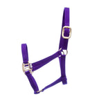 Weanling (250-400 lbs) / Purple
