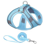 Blue / XXS