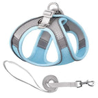 Light Blue / XXS