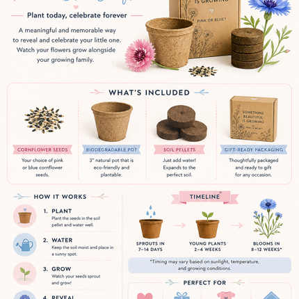 Gender Reveal Grow Kit