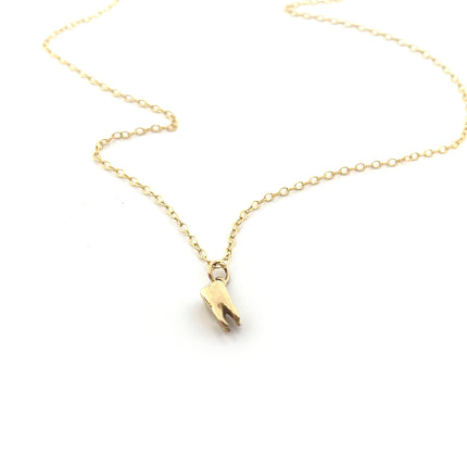 Tiny Tooth Charm Necklace - 14k Gold Filled Jewelry - Handmade Necklace